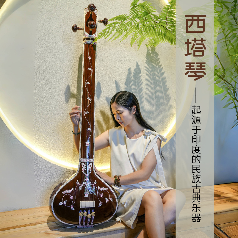 Handmade Sitar National Musica - đánh giá và giá Musical Instrument Sitar