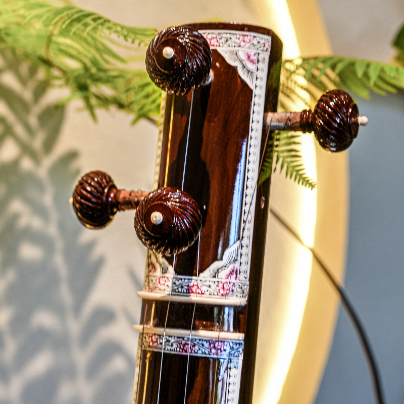 Handmade Sitar National Musica - đánh giá và giá Musical Instrument Sitar