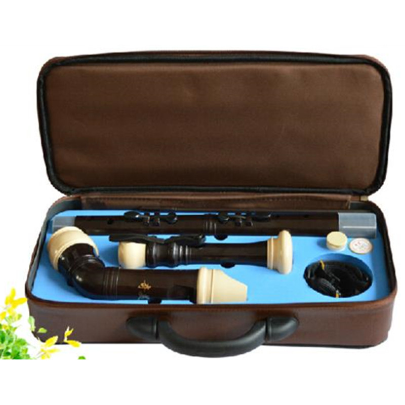 Professional 8 Holes Baroque B - đánh giá và giá Musical Instrument Recorder