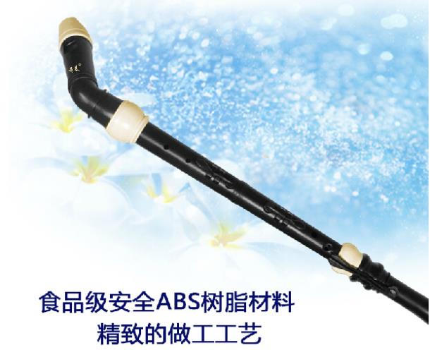 Professional 8 Holes Baroque B - đánh giá và giá Musical Instrument Recorder
