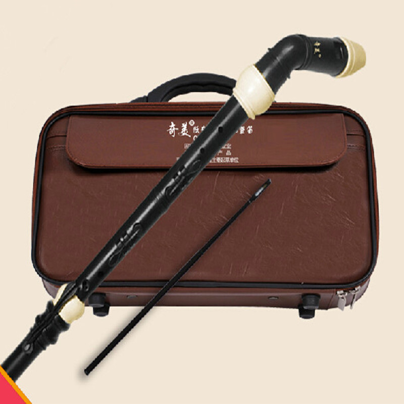 Professional 8 Holes Baroque B - đánh giá và giá Musical Instrument Recorder