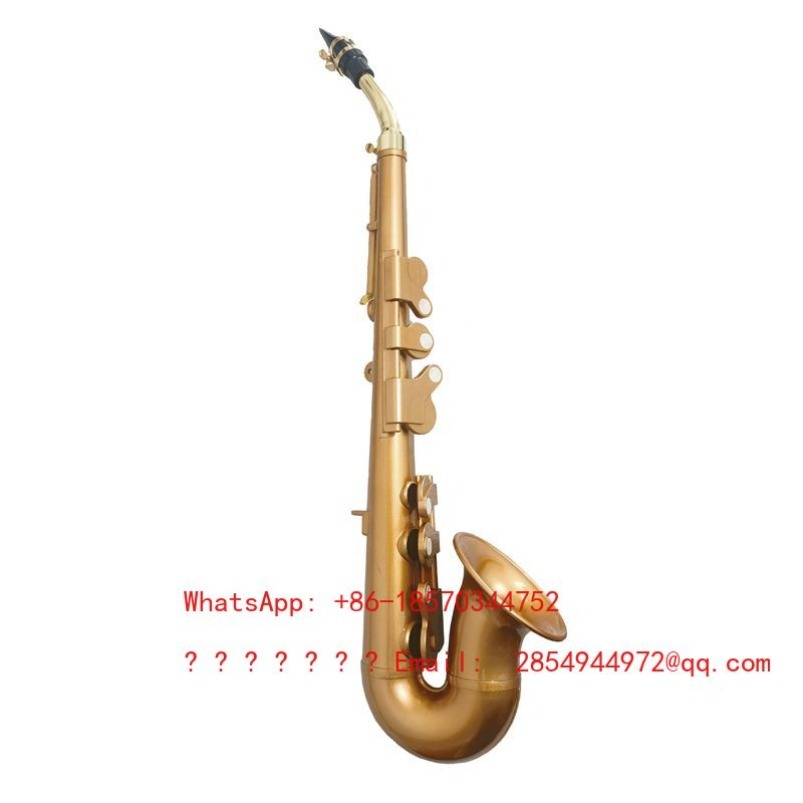 Resin Saxophone Musical Instru - đánh giá và giá Musical Instrument Easy To Learn For Adults