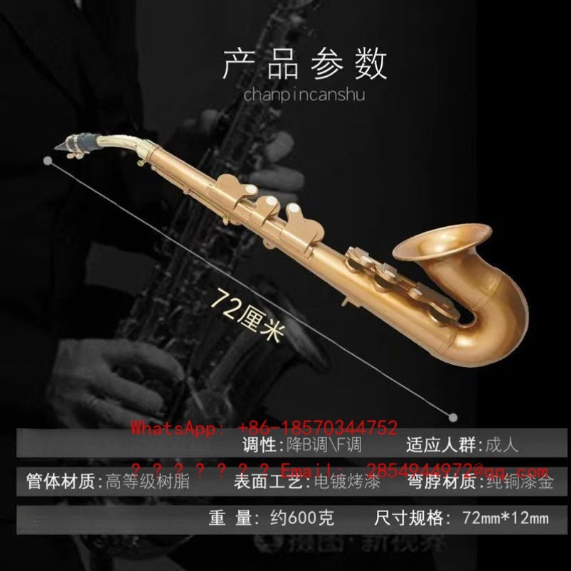 Resin Saxophone Musical Instru - đánh giá và giá Musical Instrument Easy To Learn For Adults