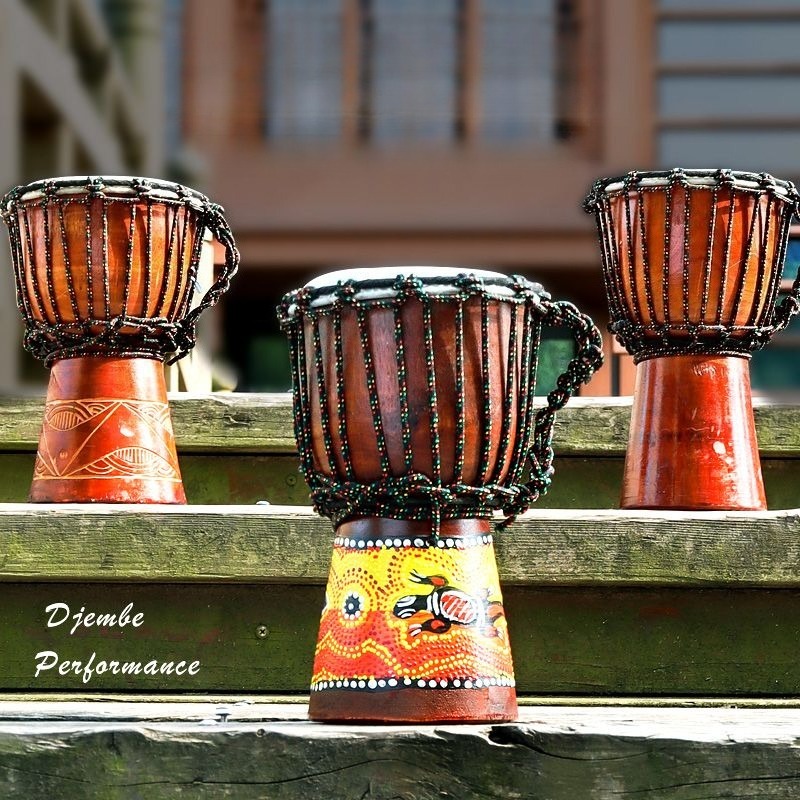 Children Beginner Small Africa - đánh giá và giá Musical Instrument Djembe